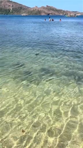 📌 💯% LEGIT ✨✨ 📌 NO ENTRANCE FEE❗❗ 📌 NO CORKAGE FEE❗❗ 📌 NO ECOLOGICAL FEE❗❗ 📌 NO ENVIRONMENTAL FEE❗❗ Available for this coming HOLIDAYS 🎎🎃 🏝️PATUNGAN BEACH RESORT MARAGONDON CAVITE🏝️ 🌸🌸PATUNGAN BEACH RESORT a perfect getaway to relax and unwind🌻🌻 🌊Maeenjoy mo pa ang semi white sand,blue clean water,and fresh air.🌞🌞 Sulit na sulit pa with affordable price. 🌏🚣Located at Patungan Maragondon Cavite⚓🚣 INLCUSION: 💥We offer Daytour and Overnight Stay 💥We also offer for couples (1-2