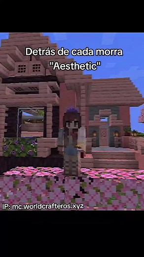 Servidor de Minecraft: Únete a la Diversión en Java y Bedrock