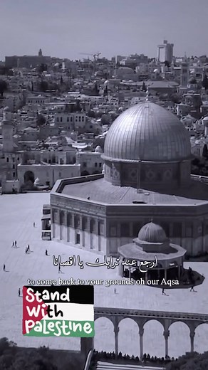 Babel Studio on Reels