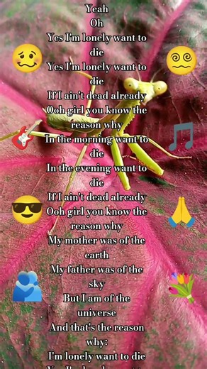 yer blues-the Beatles-lirics #shortsfeed #song #beatles #classicrock #oldies