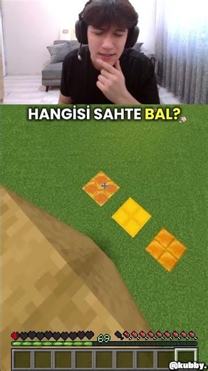 Guess the correct Minecraft blocks 🤔🔥