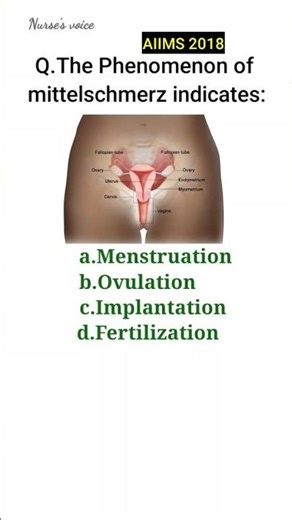 AIIMS Question -Answer #nursing_mcqs #nursingstudent #aiims #norcetmcq