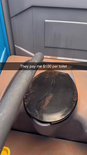 Toilet Cleaning: The Job You Might Not Consider