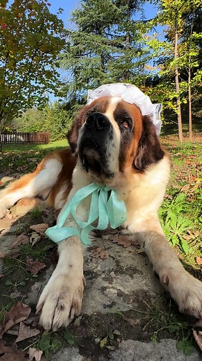 Neve as Nana from Peter Pan: A Halloween Delight