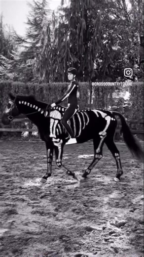 Why can’t horses watch horror films? They’ll have nightmares. 💭😂 Tag a friend who tells worse jokes than this 👇 #CrossCountryEquine #HorseHumor #FunnyReels #HorseJokes #TrailLife #CowboyHumor #EquestrianLife #fyp #viral | Mark Patterson