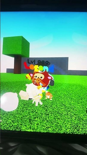 Wacky wizards more secret items