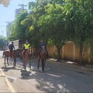 3.2K views · 302 reactions | Jamaica Constabulary Force on Reels | Facebook