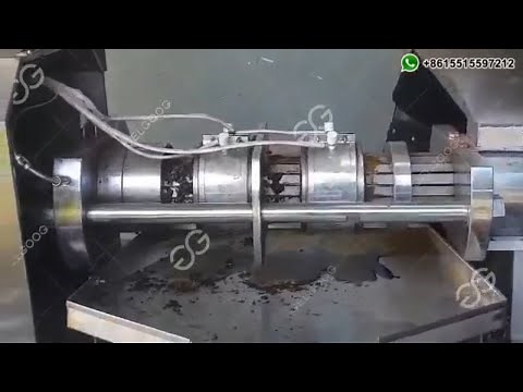 Screw Avocado Oil Press Machine | Avocado Oil Extraction Machine