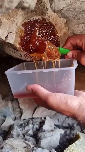Collecting process of honeycomb
