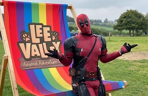 Hire A Superhero - Oddle Entertainment Agency April 12, 2026