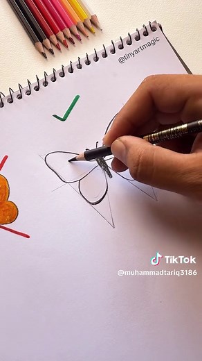 Butterfly Drawing Tutorial for Beginners