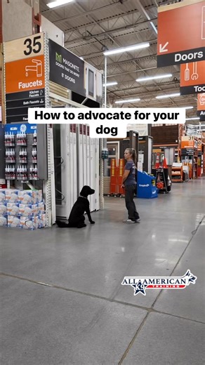 948K views · 8.2K reactions | How to advocate for your dog ...