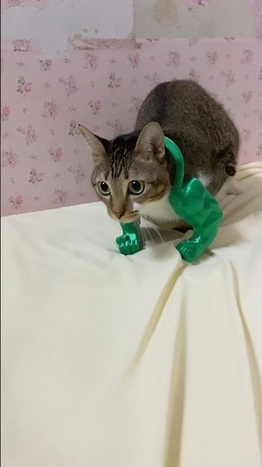 Tutu also wants to protect everyone with her own strength! 🐱🦖