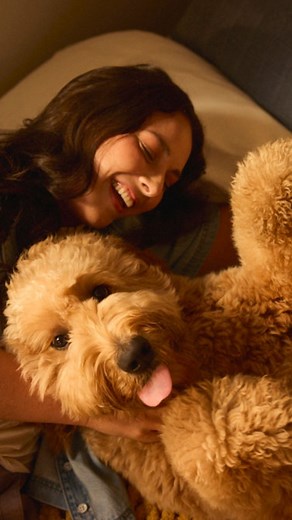 We’ve partnered with @adoptapet because every dog deserves a loving home. 💛 Find your love for life at AdoptaPet.com and feed the good by shopping PEDIGREE products at your favorite retailer. #PEDIGREEAdopt | Pedigree US