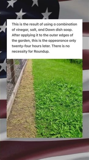 How Vinegar, Salt, and Dish Soap Replace Roundup