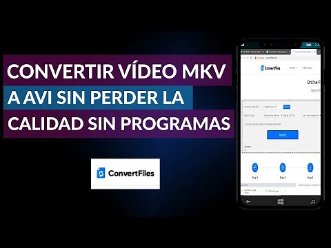 Cómo Convertir un Vídeo Formato MKV a AVI sin Perder la Calidad sin Programas