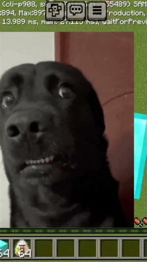 Minecraft maze MLG #Maze #Minecraft