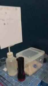 4.6K views · 142 reactions | Naa na koy sabay sa hobby  palayason najud ta sa imung mama ani hahahaha | The Flips Family | Facebook