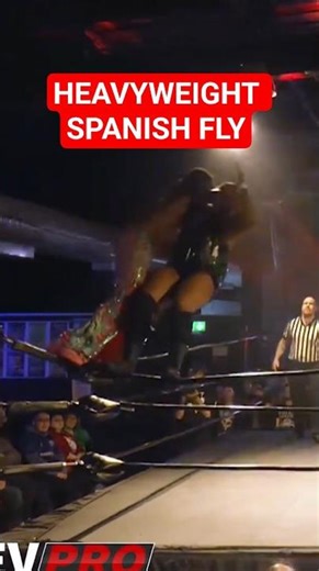 "The BIGGEST Spanish Fly I've Ever Seen!" 💥| REVPRO