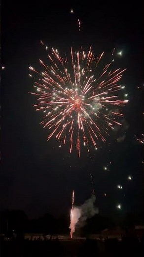 🔥12-Shot 200g Fireworks Cake | Brocade Dahlia (Red/Green/Orange) + Chrys/Strobes | Fireworks Display