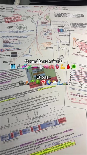 Svp un truc sur la contraction musculaire au bac 🙏🙏 #bac #bacsvt #svt #terminal #2007 #bac2025