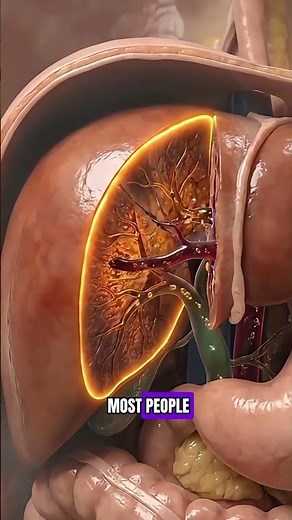 What Happens Inside Your Body When You Drink Beer Every Day?