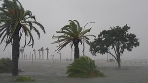 59K views · 635 reactions | VIDEO: Hurricane Ida made landfall in Port Fourchon in Louisiana at 11:55 a.m. CDT with 150 mph sustained winds. -- weartv.com/news/local/gallery-damage-from-hurricane-ida | WEAR ABC 3 News, Pensacola | Facebook