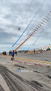 A very beautiful and enchanting dragon kite | Deeva Kite