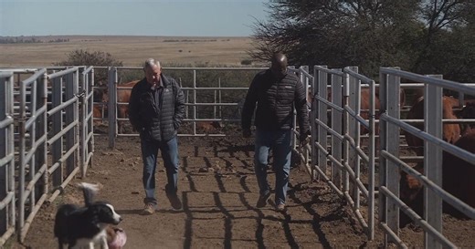 Trump, Ramaphosa clash over genocide claim