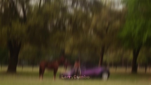 Cactus Jack: Unveiling the Travis Scott Experience