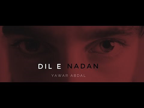 Dil e nadan - Yawar Abdal (official video)