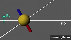 NMR spectroscopy visualized on Make a GIF