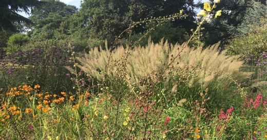 22 ways to build biodiversity