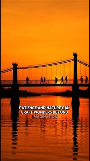 The Living Root Bridges of Meghalaya – India’s Hidden Natural Wonder #naturewonders #incredibleindia