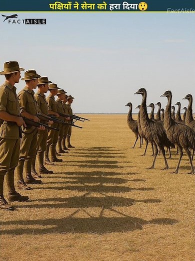The Great Emu War - A Strange Chapter in Australia's History 😱