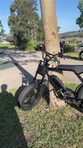 Exploring the Fortis eBike: A Ride for Everyone