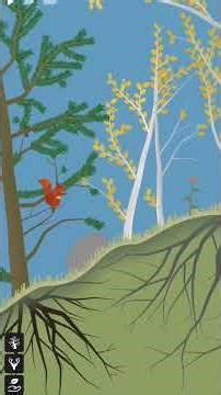 PolyPine is a forest ecosystem simulation game.