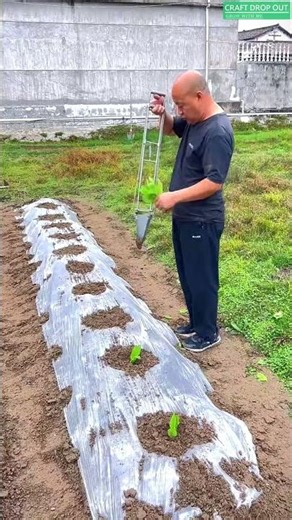 Quick Seedling Hack for Perfect Gardens!