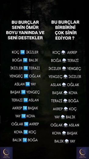 Birbirinin yanında olan / Sinir edenler #burçlar #horoscope #astrology #reels #astroloji #trending