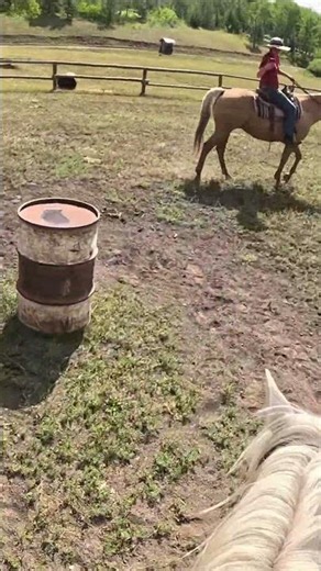 Just realized I forgot to post the GoPro footage of my barrel “run” with Olive