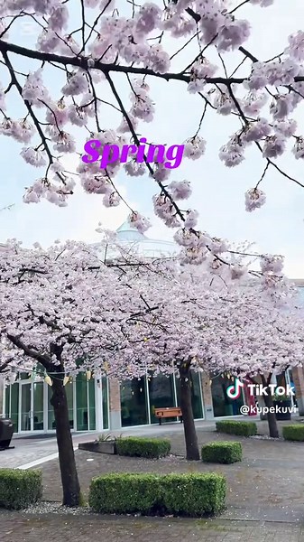 Every flower 🌸🌷is soul ❣️blossoming in nature. spring , a lovely reminder of how beautiful 😍change can be, spring is natures way of saying a new beginning✌️