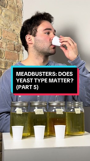 Meadbusters: Exploring Yeast Types for Mead Making