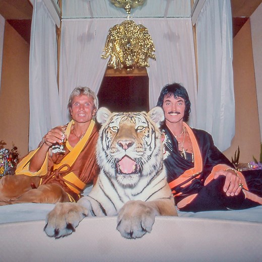 What Really Happened in the Siegfried & Roy Tiger Attack?