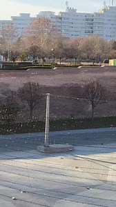 Acum la Alba Iulia | ALBA IULIA - ORASUL MEU