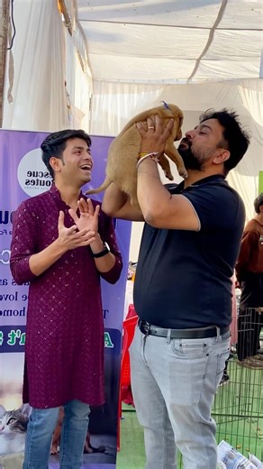 Free pet’s adoption camp at BHOPAL MP || free pet’s adoption || Labrador puppy 🐶 || cute puppies ♥️