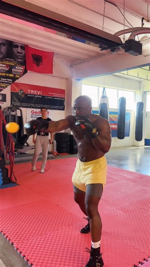 Boxing trining :speed ball Speed Ball Training — Build Explosive Reflexes