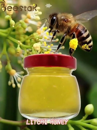 Pure Raw Bee Pollen Granules Natural Energy Booster