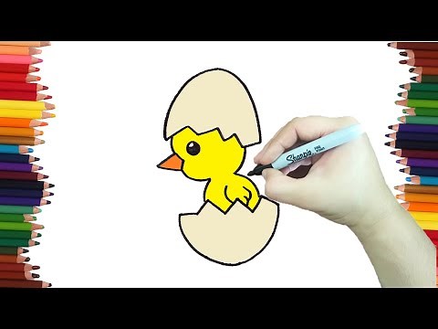 Como dibujar un POLLITO paso a paso y muy Fácil