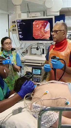 Endoscopy Training Simulation – Quick Look