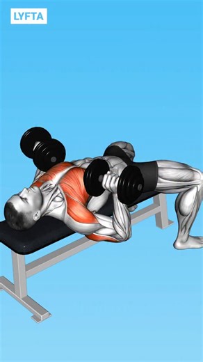 236 reactions · 15 shares | ✅ The Only 6 Chest Exercises You’ll Ever Need | Lyfta - Gym Workout Tracker | Facebook